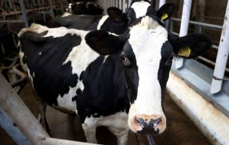 بالاترین تورم قیمت موادغذایی بریتانیا در ۱۳ سال گذشته