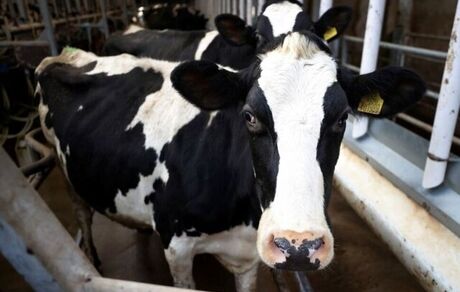 بالاترین تورم قیمت موادغذایی بریتانیا در ۱۳ سال گذشته