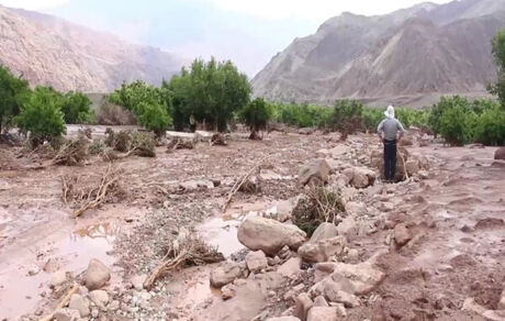 سیل، ۱۰۰ میلیارد تومان به کشاورزی سمیرم خسارت زد