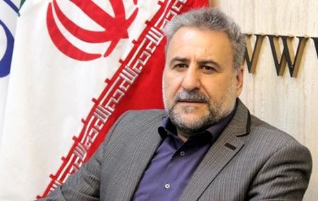 فلاحت پیشه: «هیات عالی نظارت مجمع» هیچ شانی در قانون اساسی ندارد