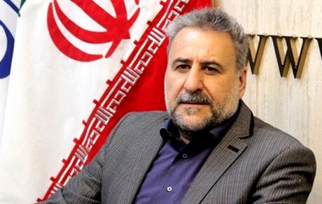 فلاحت پیشه: «هیات عالی نظارت مجمع» هیچ شانی در قانون اساسی ندارد