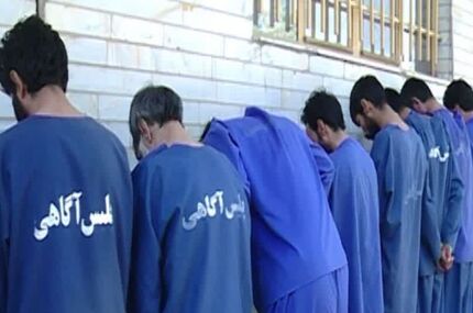 دستگیری ۱۶ سرشاخه یک شرکت بزرگ هرمی
