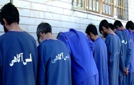 دستگیری ۱۶ سرشاخه یک شرکت بزرگ هرمی