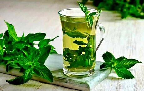 این افراد نعناع نخورند
