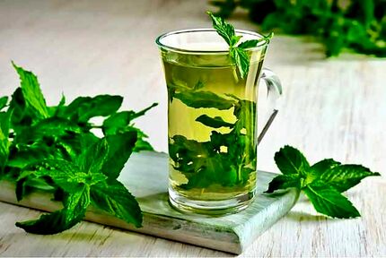 این افراد نعناع نخورند