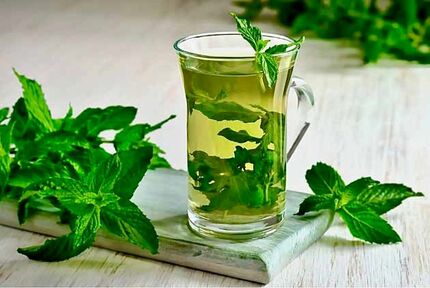 این افراد نعناع نخورند