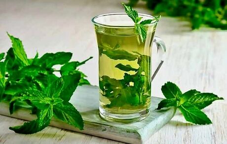 این افراد نعناع نخورند