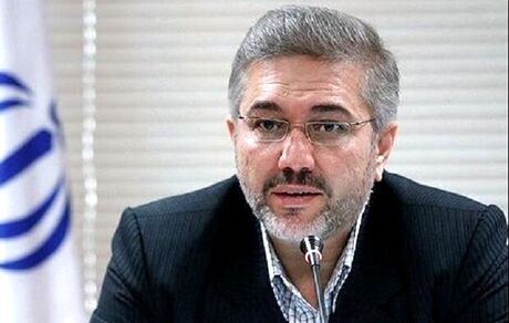 آیین‌نامه تفکیک حساب شخصی و تجاری تا ماه آینده تدوین می شود