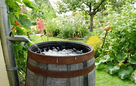 هدر رفت سالانه ۳۰۰ میلیارد مترمکعب آب باران