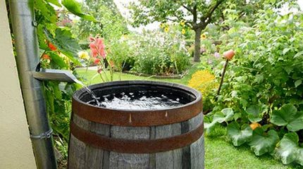 هدر رفت سالانه ۳۰۰ میلیارد مترمکعب آب باران