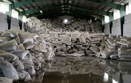 کشف ۸۵۰ تن چای فاسد در شهرستان رضوانشهر