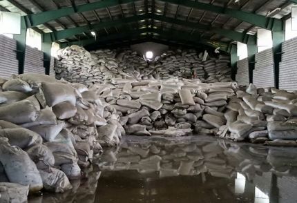 کشف ۸۵۰ تن چای فاسد در شهرستان رضوانشهر
