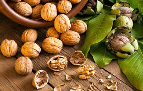 جشنواره گردو در بانه برگزار می‌شود