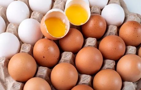 ساخت آنتی بادی ویروس کرونا با استفاده از تخم مرغ