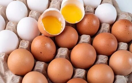 ساخت آنتی بادی ویروس کرونا با استفاده از تخم مرغ