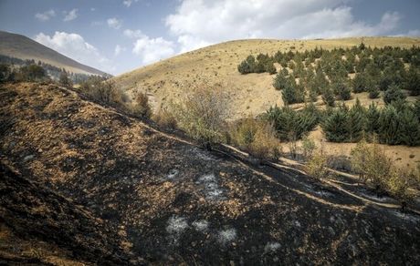 مهار دو آتش‌سوزی همزمان در مناطق صعب‌العبور جنگل‌های زاگرس دزفول 