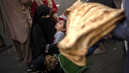 ۶.۵ میلیون افغانستانی با گرسنگی شدید مواجهند