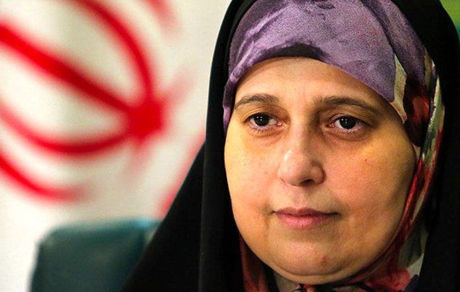 سلحشوری: وزیر ارشاد از سوی برخی از نمایندگان تحت فشار قرار گرفته است