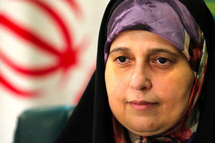 سلحشوری: وزیر ارشاد از سوی برخی از نمایندگان تحت فشار قرار گرفته است