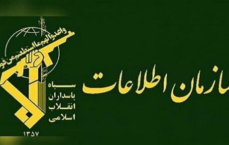 دستگیری ۱۲ نفر از شبکه قاچاق سوخت در مشکین شهر