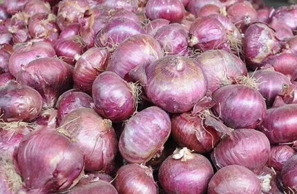 بحران پیاز در ارومیه / وعده مسئولین: بیست روزه حل می‌شود