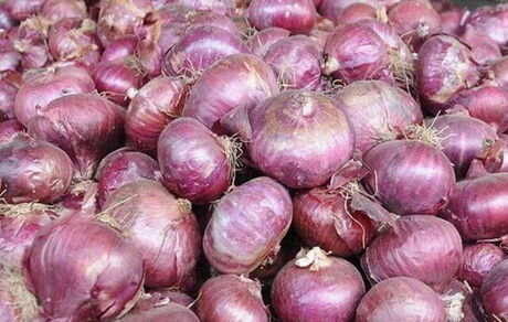 بحران پیاز در ارومیه / وعده مسئولین: بیست روزه حل می‌شود