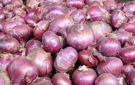 بحران پیاز در ارومیه / وعده مسئولین: بیست روزه حل می‌شود