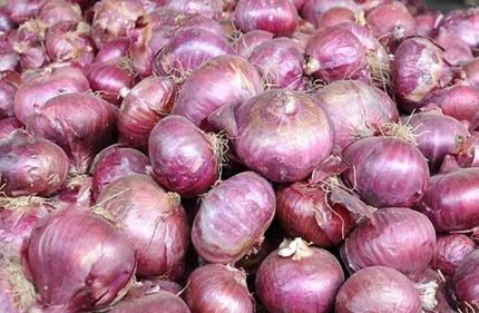 بحران پیاز در ارومیه / وعده مسئولین: بیست روزه حل می‌شود