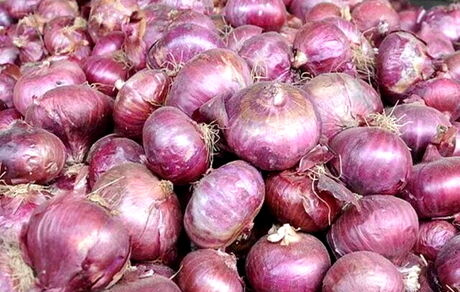 بحران پیاز در ارومیه / وعده مسئولین: بیست روزه حل می‌شود