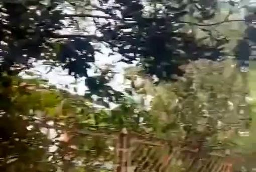 معترضان نپالی، خانه نخست وزیر را آتش زدند + ویدئو