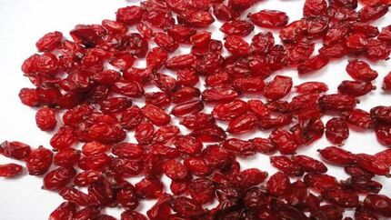 خرید حمایتی زرشک از هفته آینده