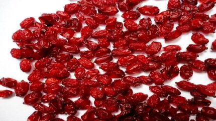 خرید حمایتی زرشک از هفته آینده