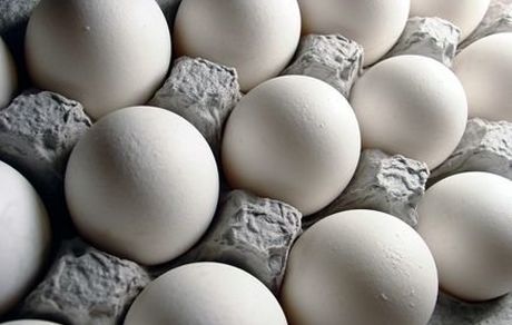 اعلام قیمت جدید تخم مرغ در میادین