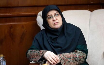 سخنگوی دولت معرفی شد