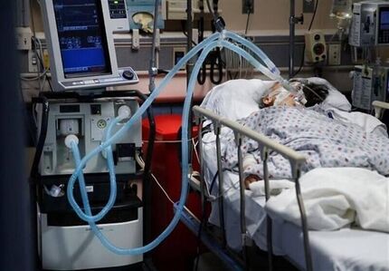 در وانفسای کرونا عده‌ای طب سنتی ترویج می‌کنند