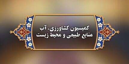 مجلس: کیفیت گوشت‌های وارداتی پایین است