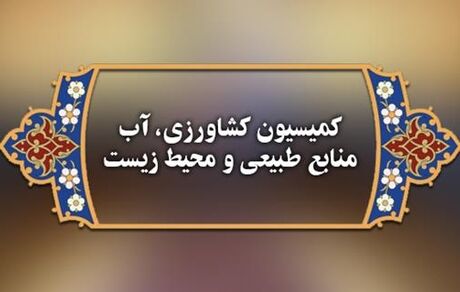 مجلس: کیفیت گوشت‌های وارداتی پایین است