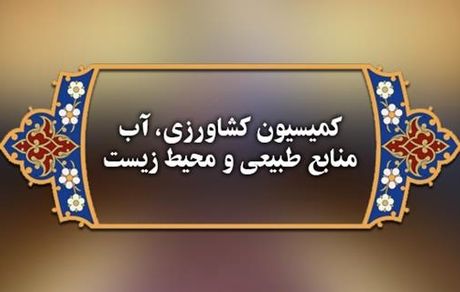 مجلس: کیفیت گوشت‌های وارداتی پایین است