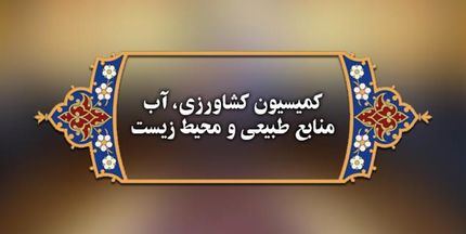 مجلس: کیفیت گوشت‌های وارداتی پایین است