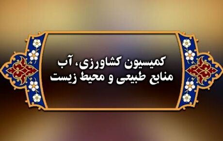 مجلس: کیفیت گوشت‌های وارداتی پایین است