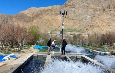 احداث طرح تولید و پرورش ماهی خاویار در ملایر
