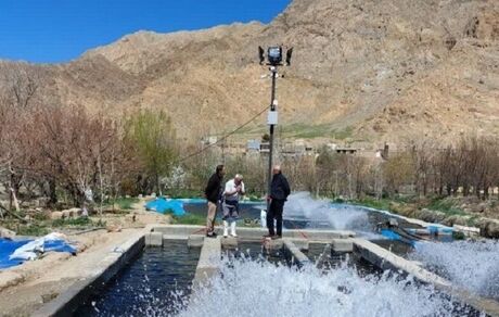 احداث طرح تولید و پرورش ماهی خاویار در ملایر