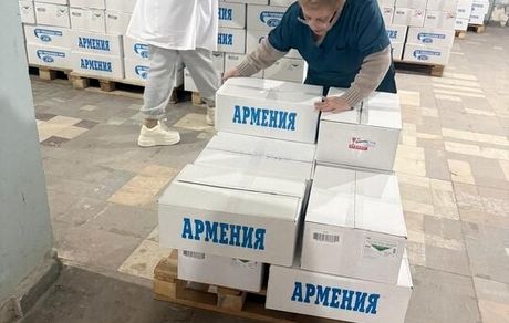 محموله اهدایی ارمنستان به ایران، تحویل هلال احمر شد