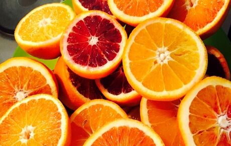 چهار محصول جدید باغی و زراعی معرفی شدند