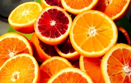 چهار محصول جدید باغی و زراعی معرفی شدند