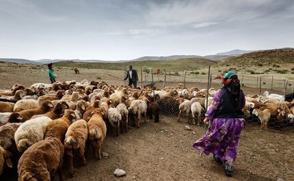 سیل تابستانه به عشایر ۱۱ استان کشور خسارت زد