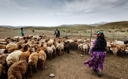 سیل تابستانه به عشایر ۱۱ استان کشور خسارت زد