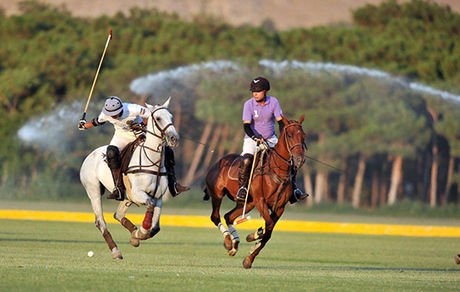 سرمایه گذاری عربستان برای ایجاد قطب اسب سواری و چوگان جهان
