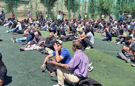 ۲۸۴ معتاد متجاهر در تهران جمع‌آوری شدند