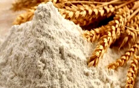 نمایندگان مجلس،فروش گندم یارانه‌ای صرفاً برای مصارف خبازی مجاز اعلام کردند